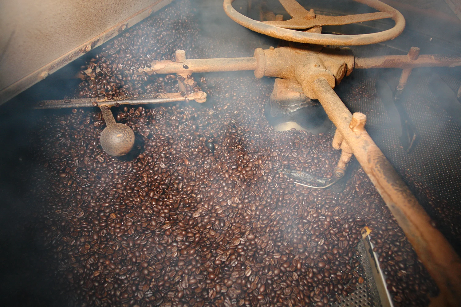 Pas gebrande koffie valt in een koelbak bij een koffiebranderij